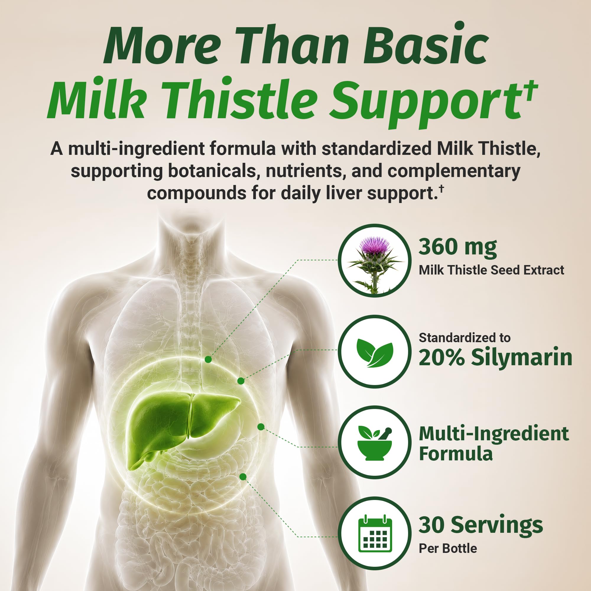 1 Body Milk Thistle Complex, Liver Support, 60 Vegan Capsules, 30 Servings — Amazon image 6