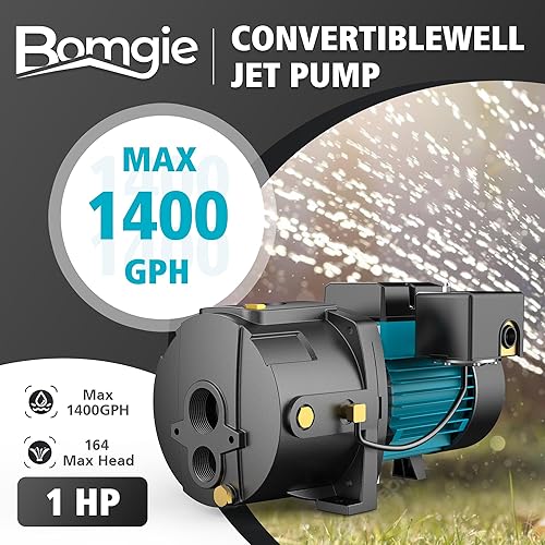 Miniatura 2 de Bomba de pozo superficialprofundo de 1 HP con kit eyector, bomba de agua de chorro de hierro fundido, profundidad de pozo de hasta 50 pies,