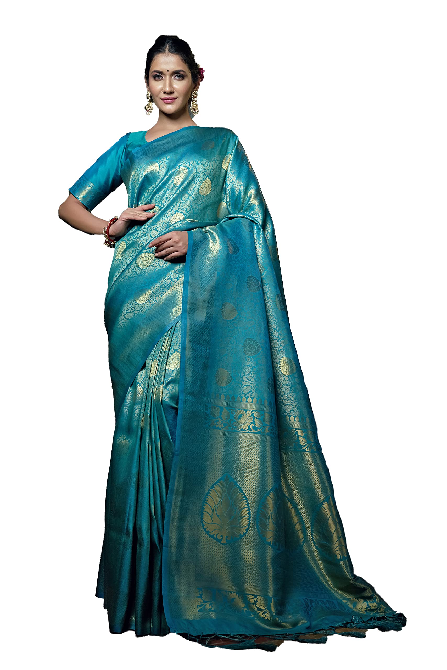 Vardha Raw Silk Banarasi Saree