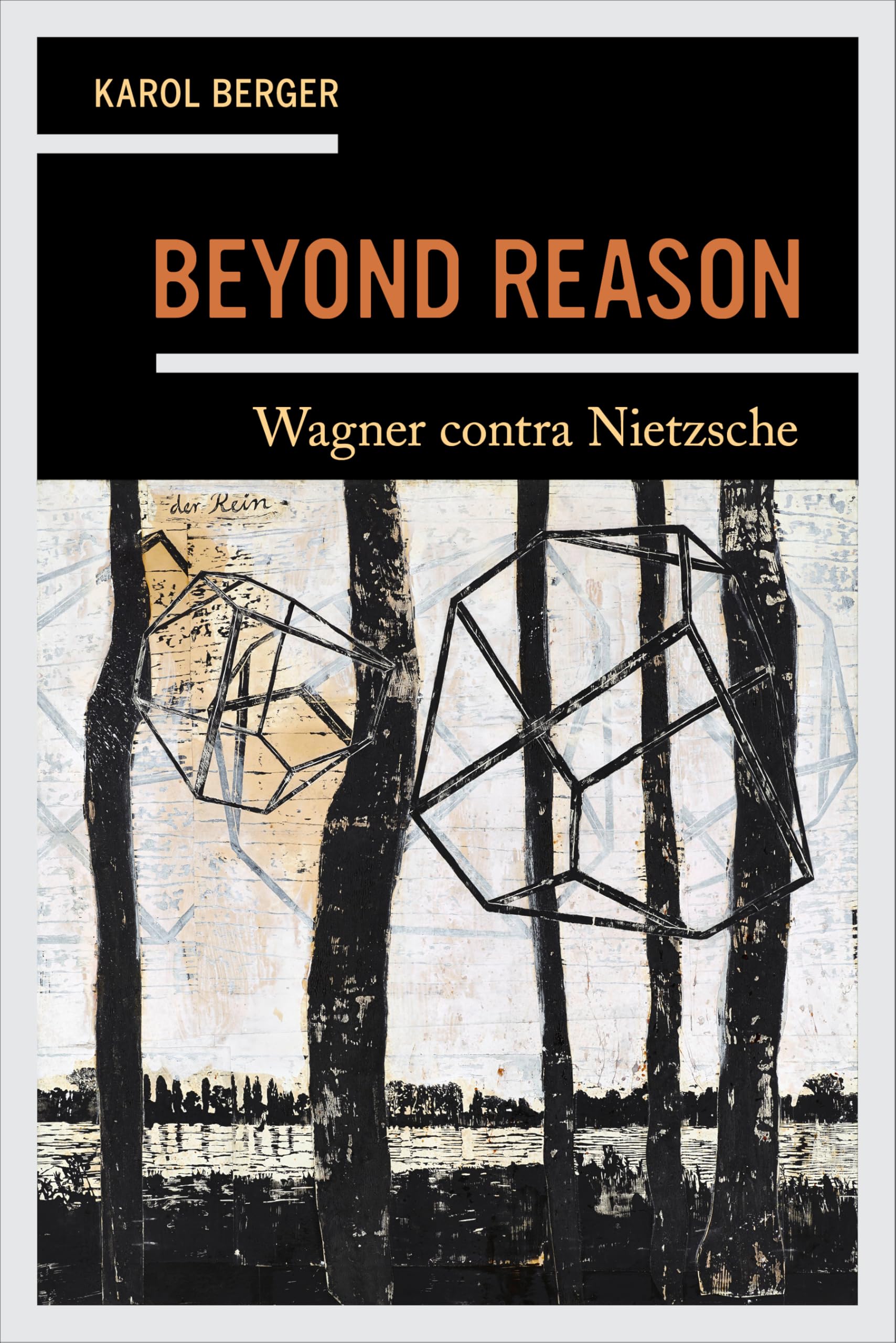 Wagner contra Nietzsche de Beyond Reason livre anglais sur la philosophie de la musique