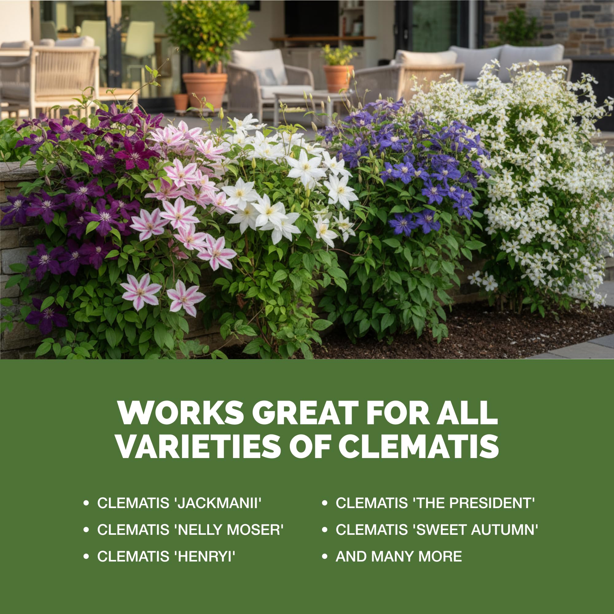 Amazon.com : Clematis Fertilizer  Liquid Plant Food for More Blooms,  Stronger Vines & Vibrant Flower Color, 8 oz : Patio, Lawn & Garden