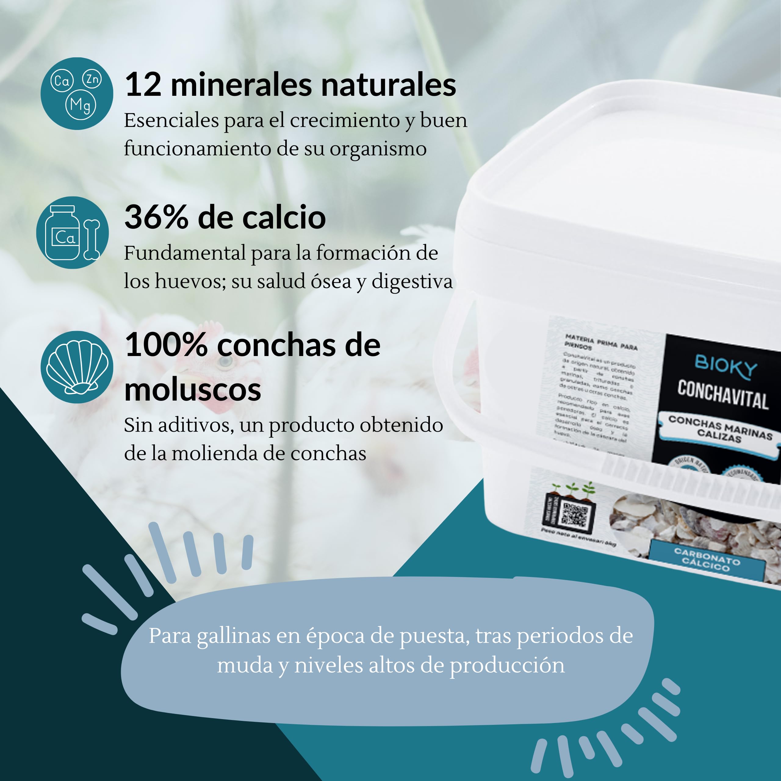 ConchaVital 6kg - Calcio para Gallinas Ponedoras y Otras Aves - Conchilla de Ostra - Pienso +12 Minerales - Mejora Calidad del Huevo, Corrige Carencias Nutricionales y Mejora Productividad