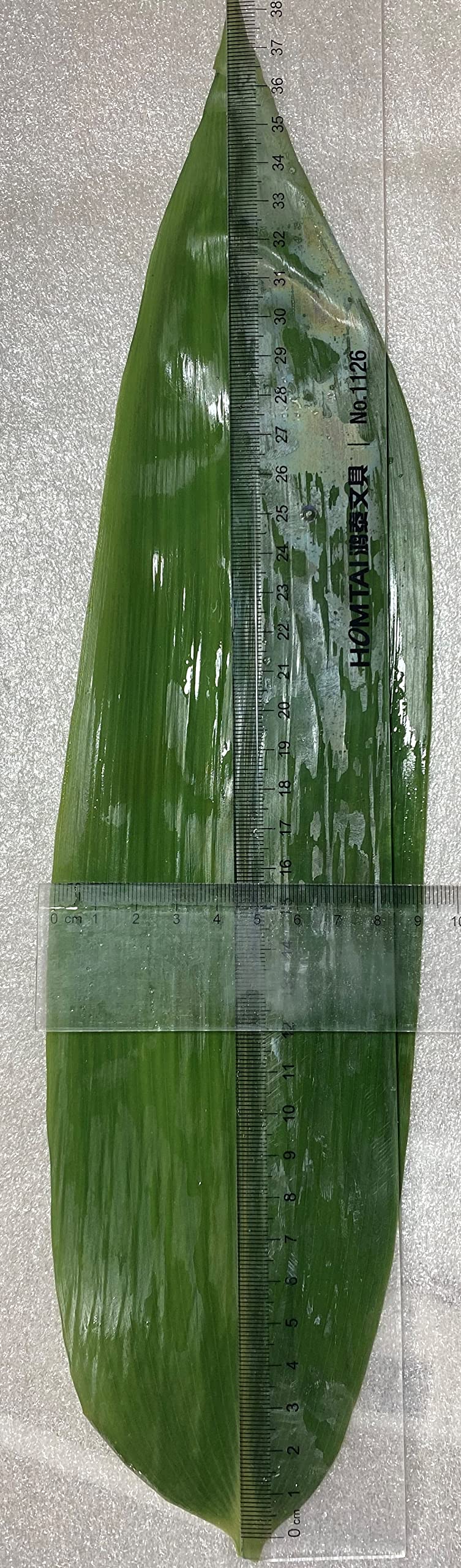 Amazon | 笹の葉 (3L 特々大) 100枚× 30P （ 枚長さ約36-40㎝×約9-10  