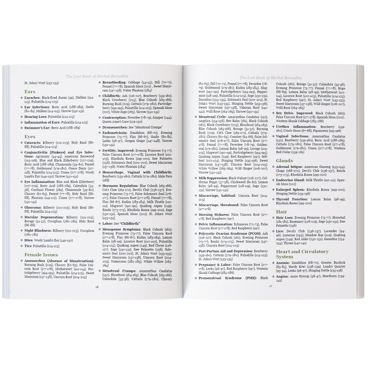 The Lost Book of Herbal Remedies      Standard Edition