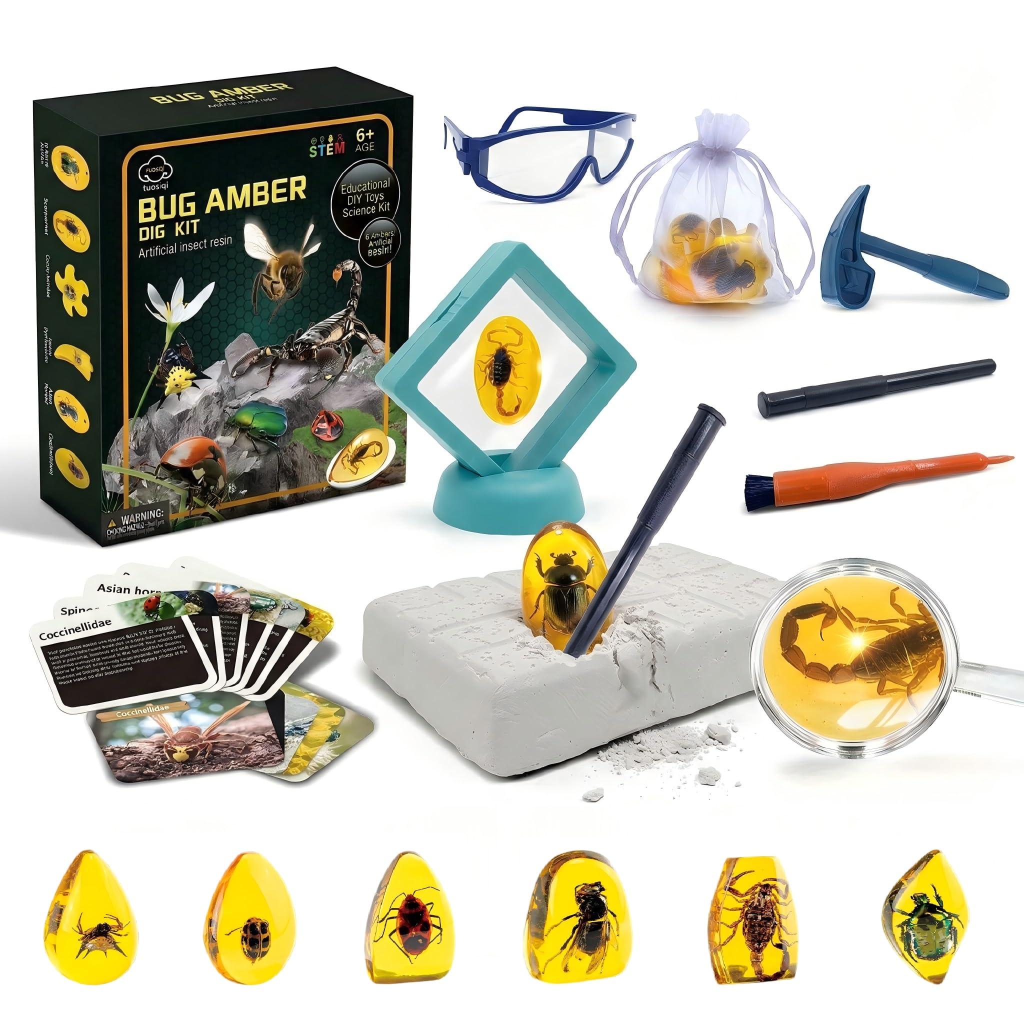 Amber Mega Fossil Dig Kit，Real Crystals & Gemstone Fossil Science Kits for Kids Age 6 7 8 9 10，Rocks & Stones & Bugs Excavation Kits，Educational STEM Science Toys Gifts Toys for 6+ Year Old Girls Boys