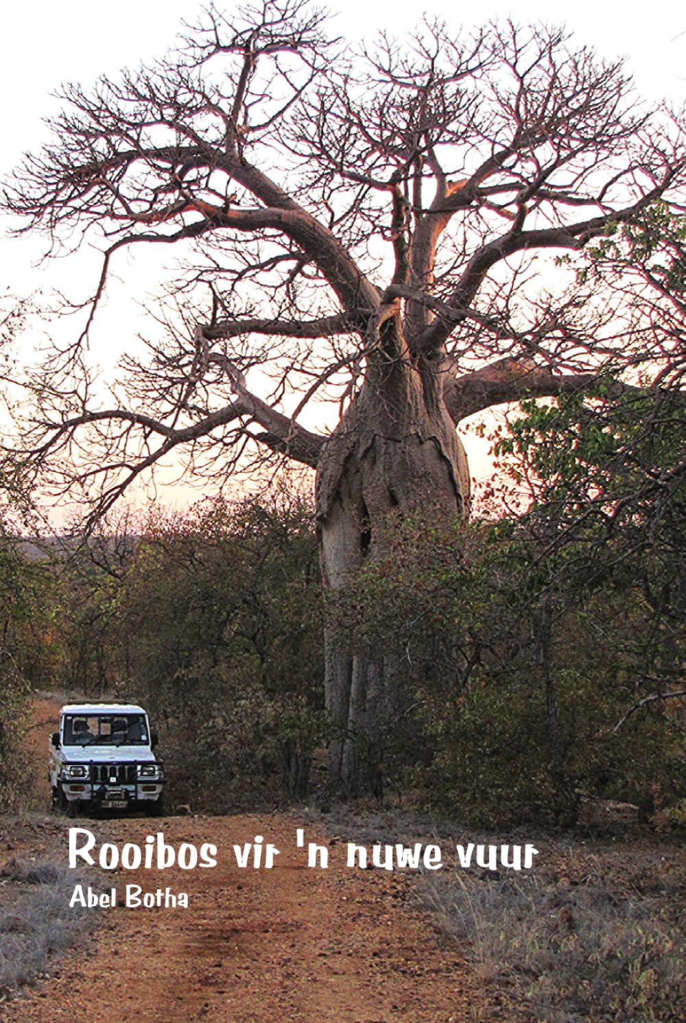 Rooibos vir 'n nuwe vuur