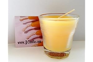 HANILEF Passover Seder Candle Holder