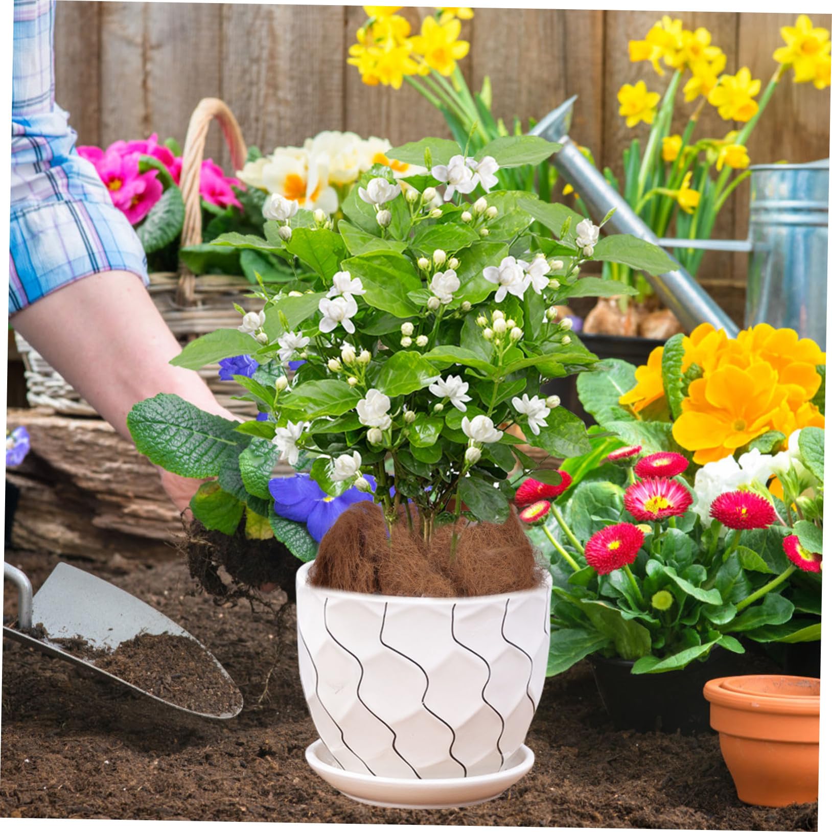 Fibra Vegetal Para Macetas y Mantillo Transpirable Para Jardinería Interior y Exterior, Fibra Plantas 500g, Retención De Humedad y Protección Contra Animales