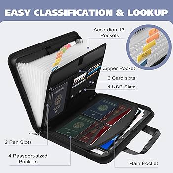 Amazon.com: Lulrsay Document Bag,Accordion File Organizer, 13