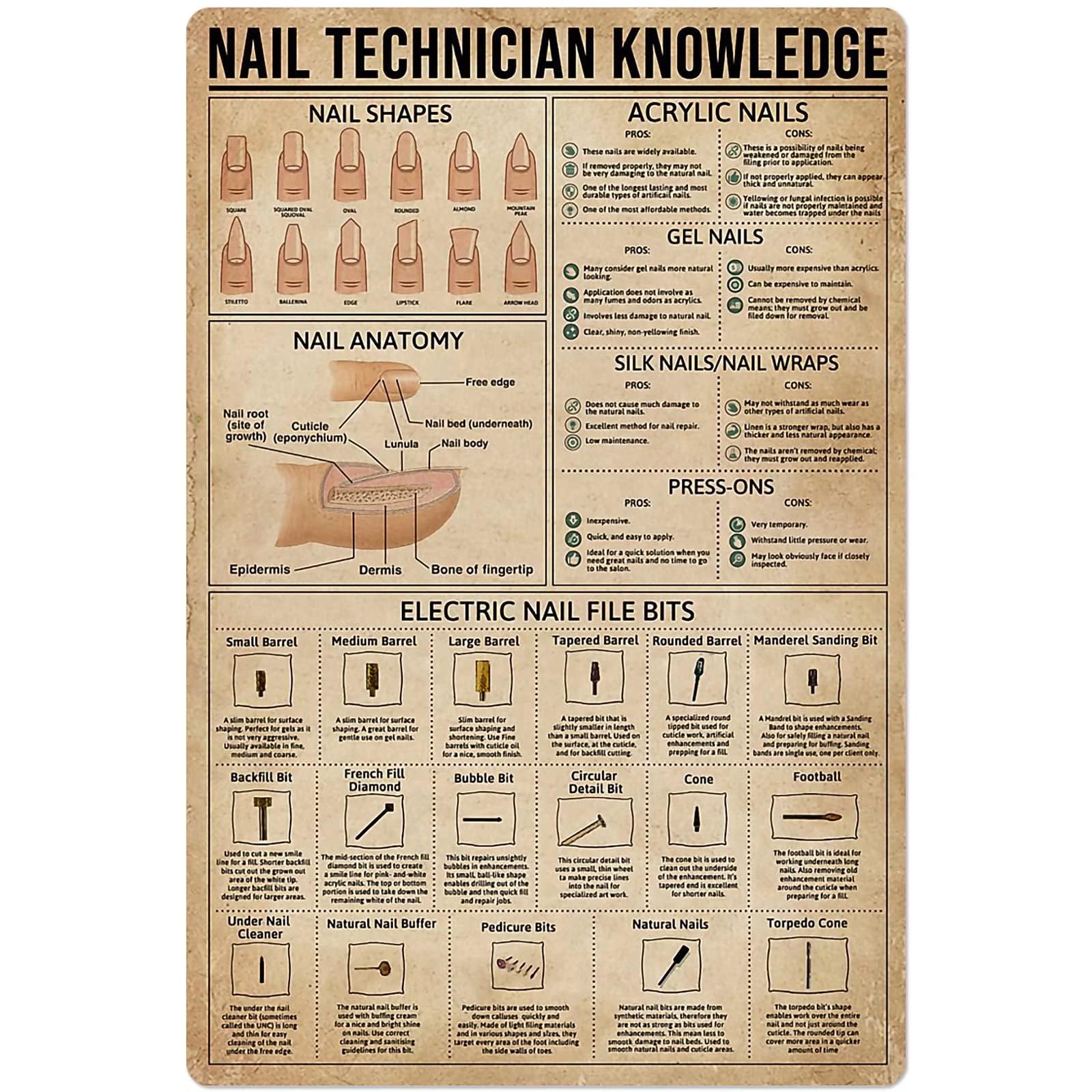 Nail Technician Knowledge Metal Signs Nail Anatomy Poster Wall Decor Home Decor Room Decor Metal Tin Sign 8x12 Inch