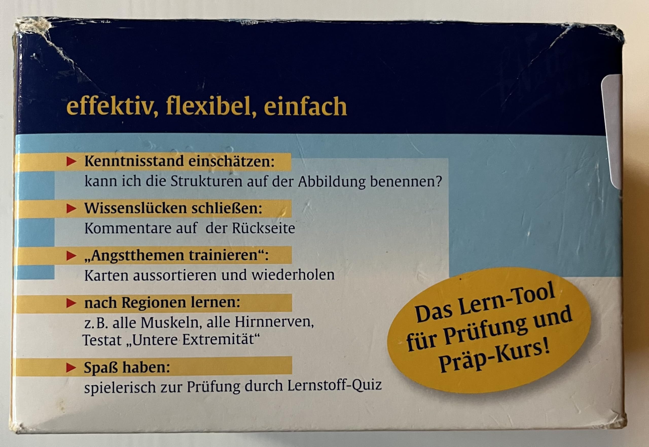 Netters Anatomie-Lernkarten (Korr. Ausgabe): Das Lern-Tool für Prüfung und Präp-Kurs
