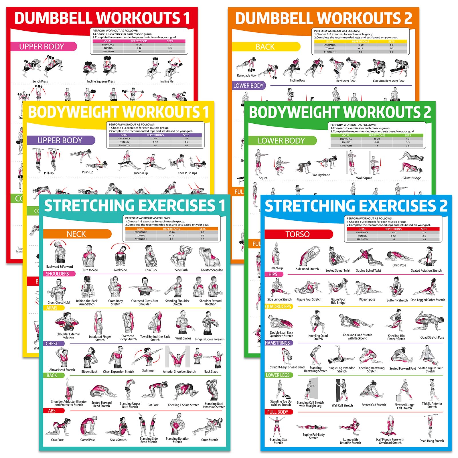 gisgfim 6 Pieces Stretching Dumbbell Body Weight Posters for Home Gym Wall Decor-image-47