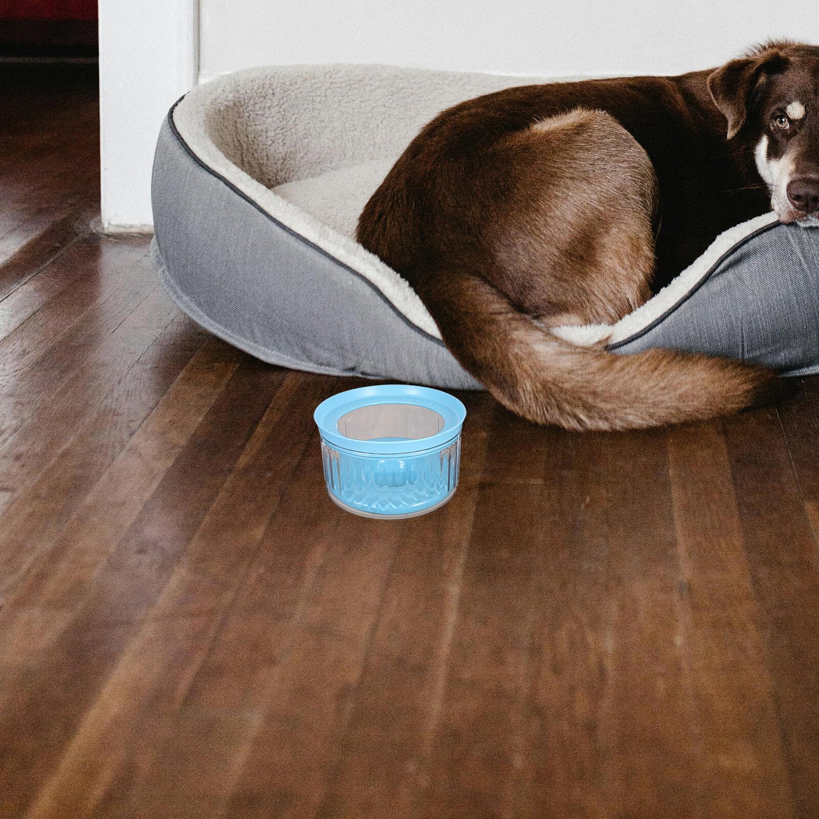 ifundom Ciotola Galleggiante per Cani Antispruzzo Base Antiribaltamento Ciotola per L’Acqua da Viaggio e Cuccia Resistente e Adatta per Uso Interno ed Esterno