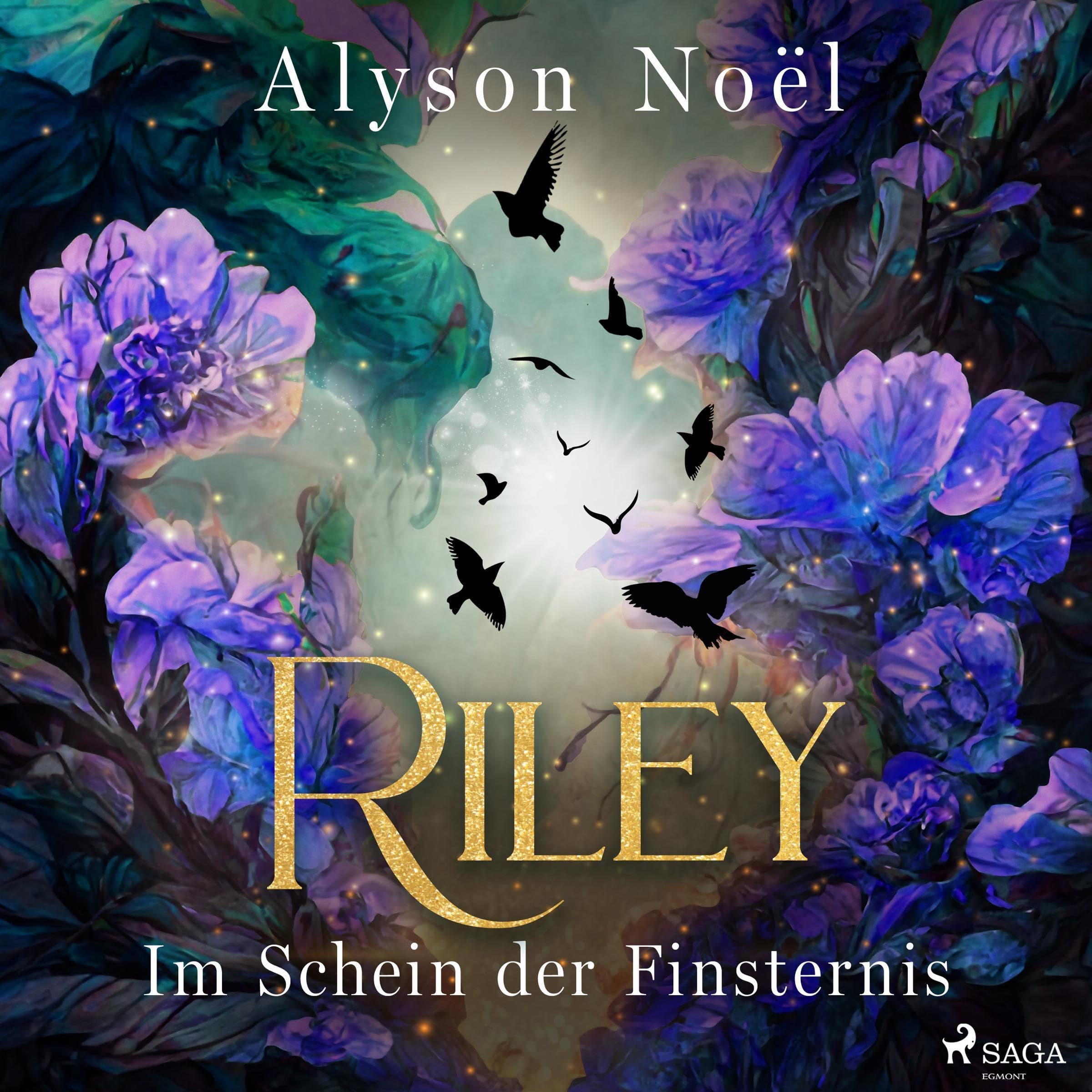 Cover art for Riley - Im Schein der Finsternis