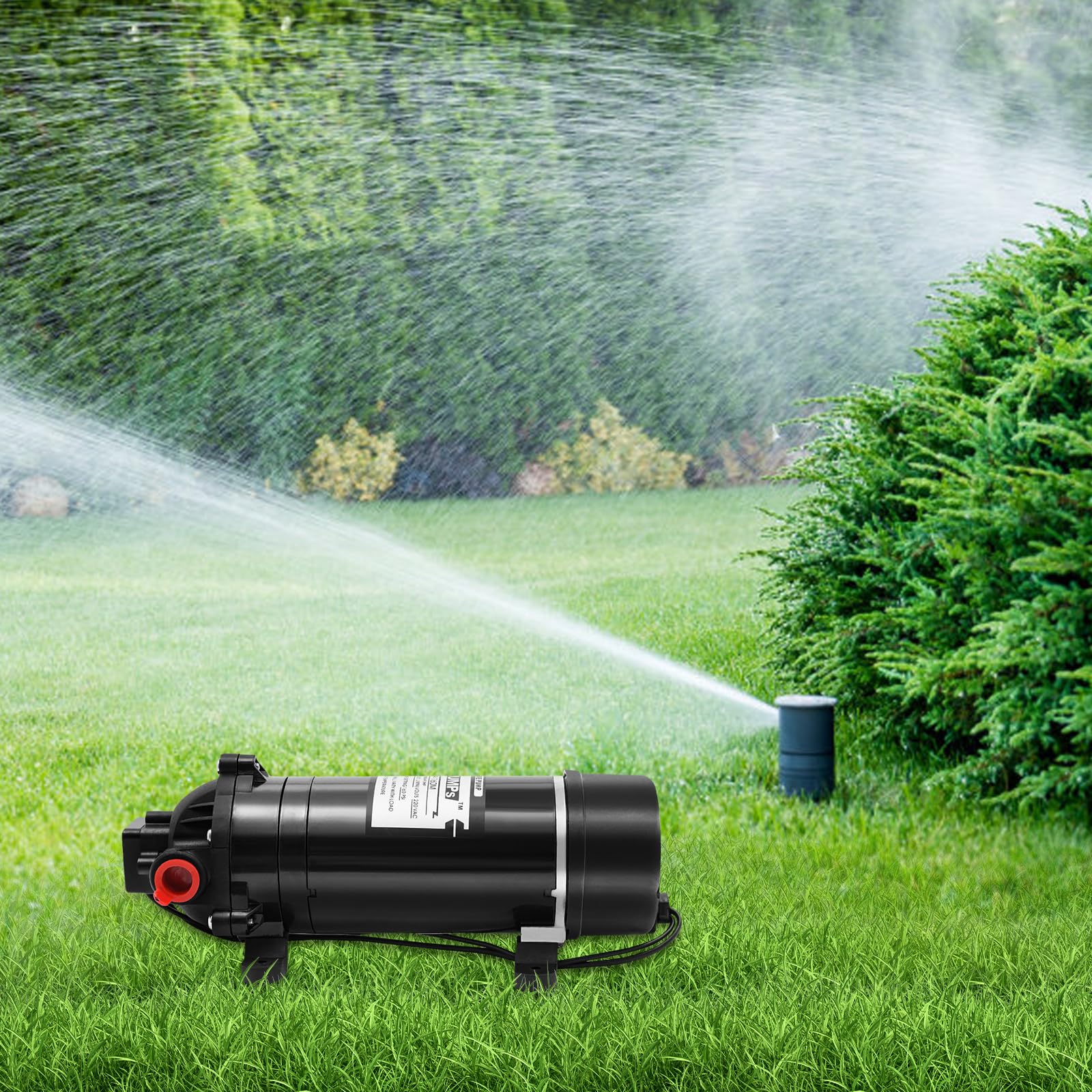 Pompa ciśnieniowa 220 V, samozasysająca pompa podwyższająca ciśnienie 120 W, 160 psi (11 barów) pompa membranowa o przepływie 5,5 l/min do nawadniania ogrodu, opryskiwaczy i czyszczenia