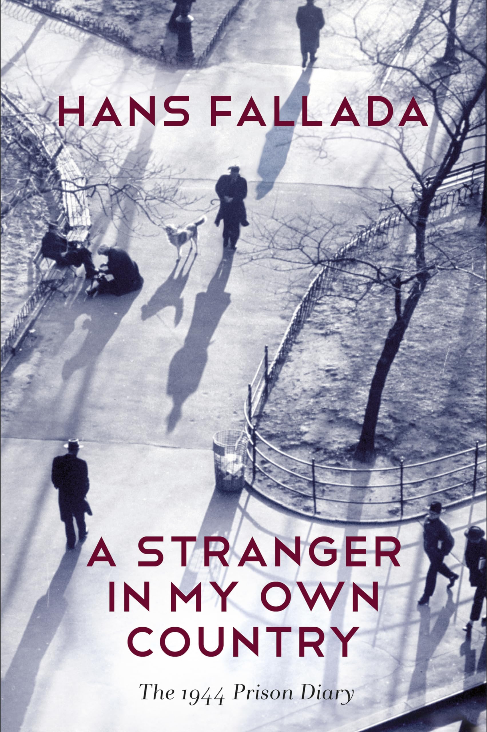 A Stranger in My Own Country by Hans Fallada, Allan Blunden - 9780745669892
