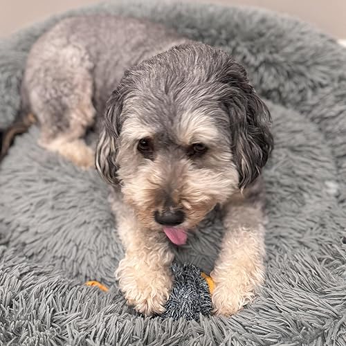 Miniatura 6 de Ethical Pet Butterballs - Juguete para perro, 4 pulgadas, bosque, surtido para todos los tamaños de raza