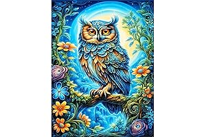 croshom 5D Diamond Painting Kits for Adults - Owl