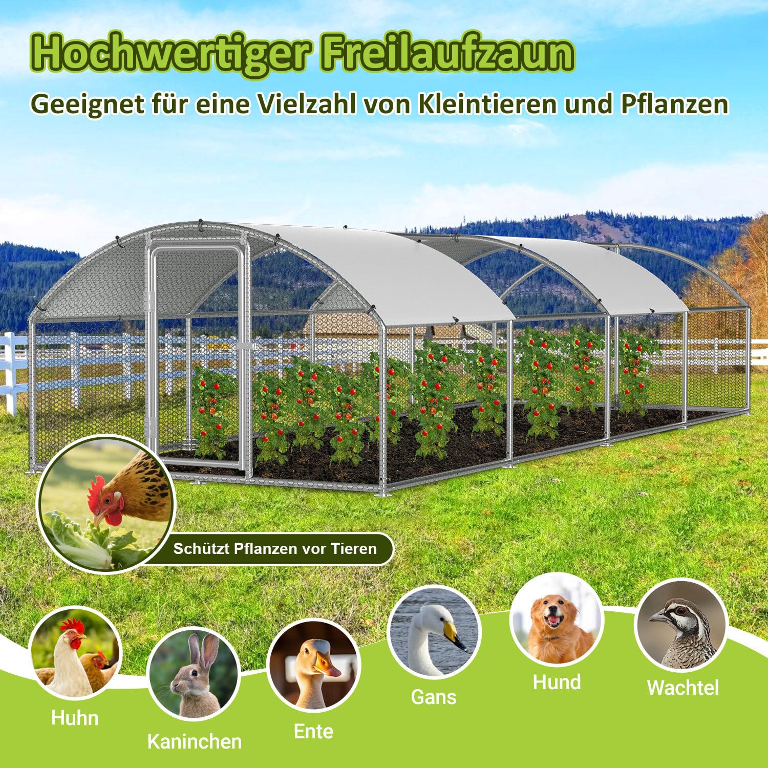 Gallinero de 3 x 8 x 2 m, recinto para gallinas, gallinas, acero galvanizado, para gallinas, caseta de conejo, cúpula, tejado, ganso, palomas y codornices, recinto de metal con red
