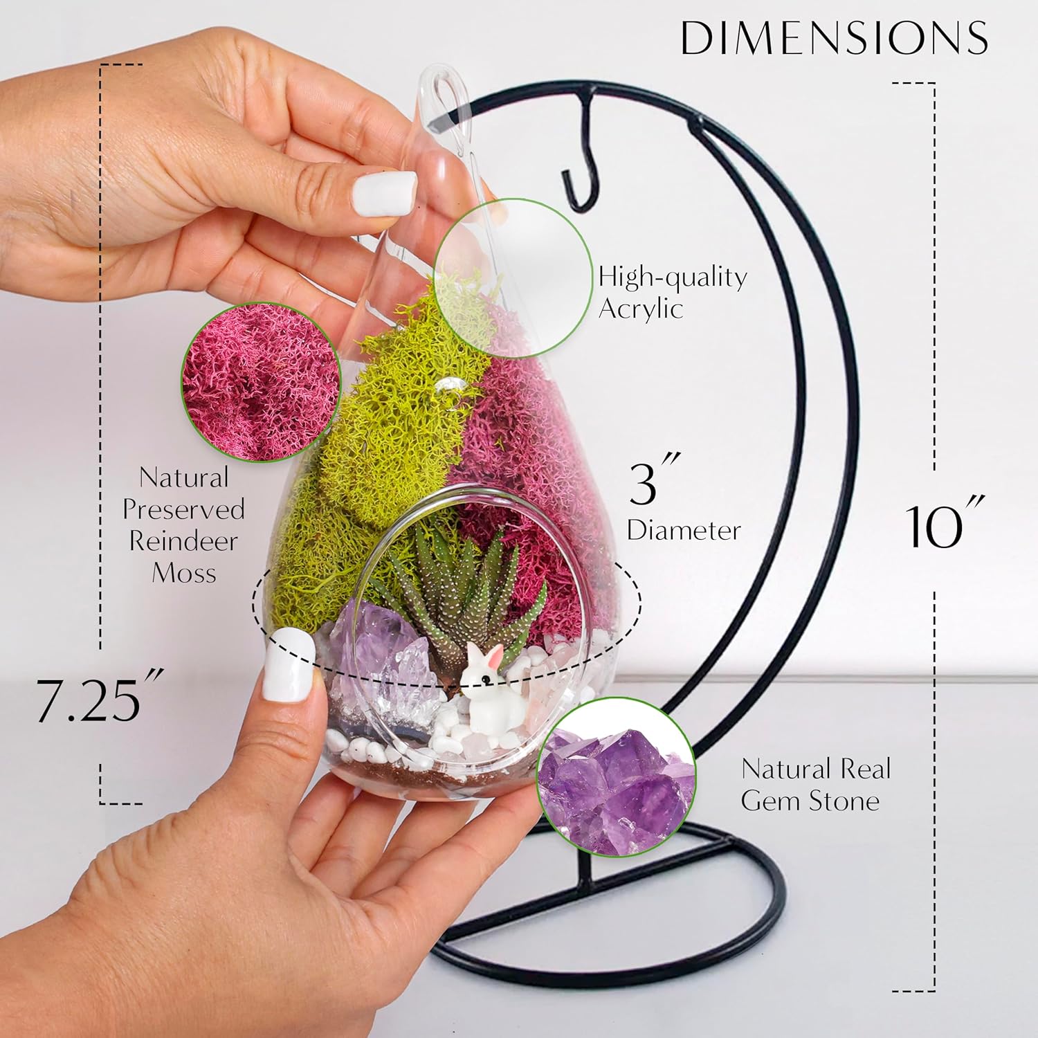 Creations by Nathalie 7" DIY Teardrop Terrarium Kit with Live Plants - Hanging Glass Planter with Stand for Adults & Kids - Build a Mini Ecosystem with Moss, Crystals, Tools - Made in The USA