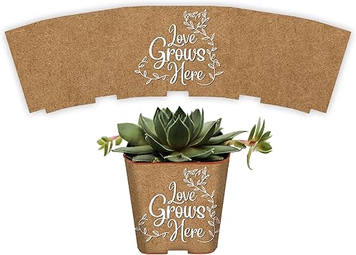 Miniatura 9 de PRODUCT80 Envolturas de suculentas para regalos de boda para macetas de 2 pulgadas, recuerdos de baby shower, calcomanías para despegar y pegar, no