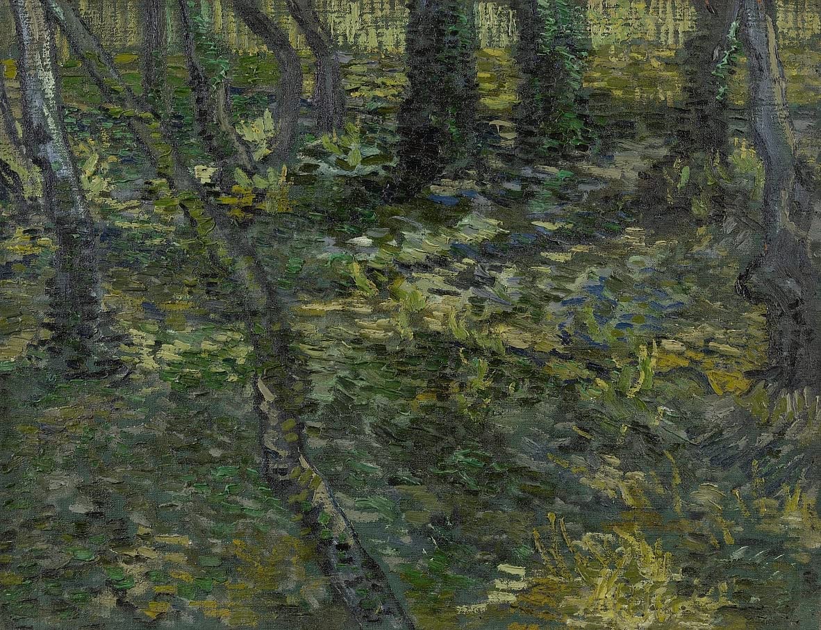 Tableaux célèbres Van Gogh Sous bois affiche émotion poétique 60x90 - 5