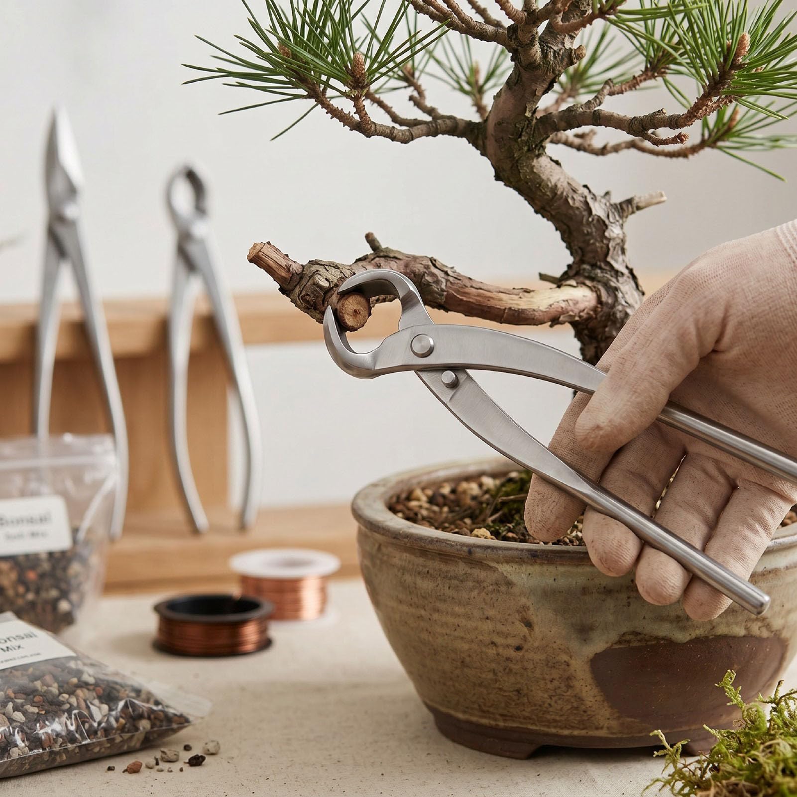 Taglierina Concava per Bonsai, Taglierina per Rami Bonsai in Acciaio Inossidabile, Design con Pomello a Bordo Arrotondato, Potatura Precisa, Impugnatura Comoda per gli