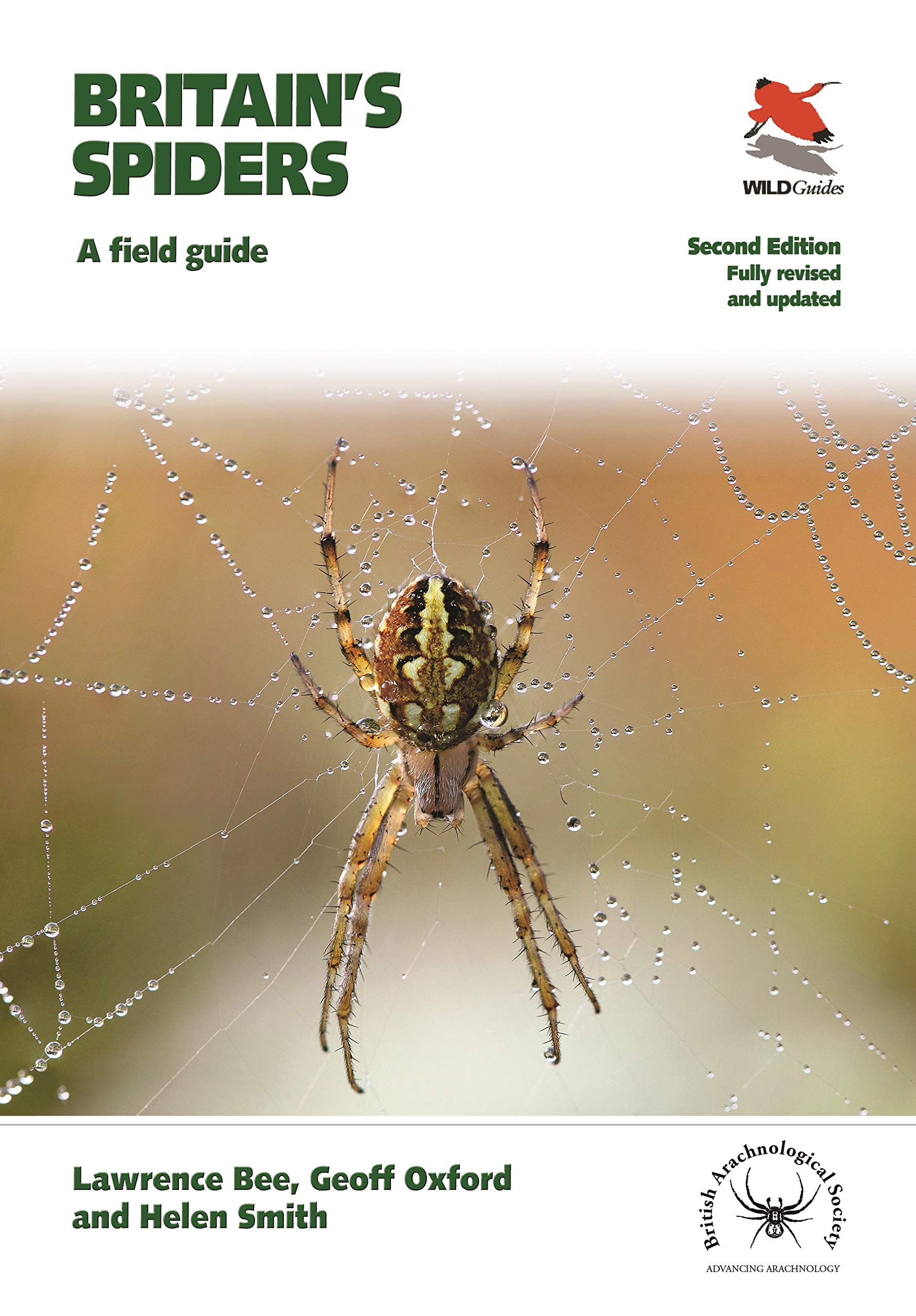 Britain's Spiders: A Field Guide – Fully Revised and Updated Second Edition (WILDGuides)