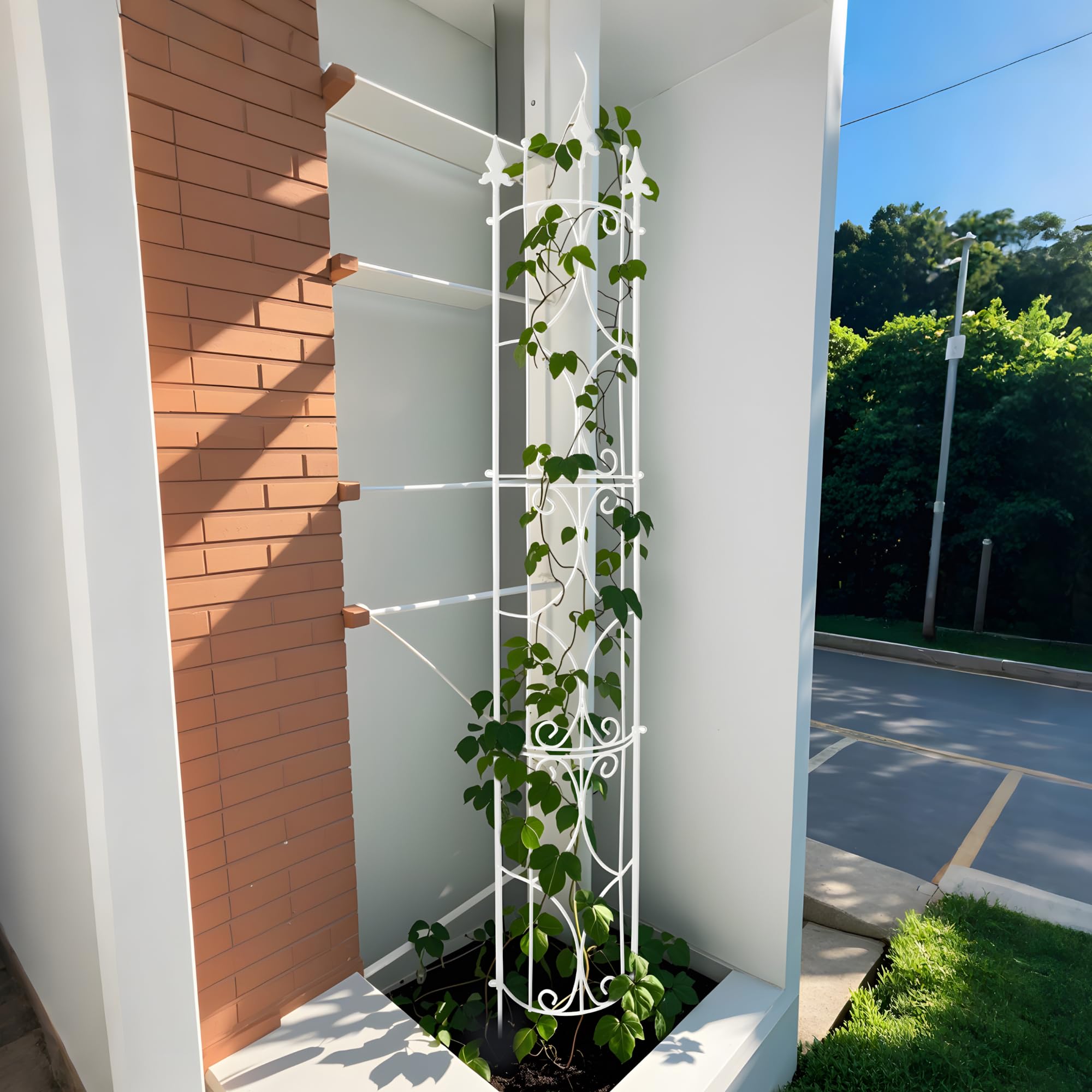 Treillis de Jardin 1,8 M en Métal pour Plantes Grimpantes, Noir/Blanc 182 cm H x 31 cm l, Intérieur/Extérieur, Lot de 2 (Blanc)