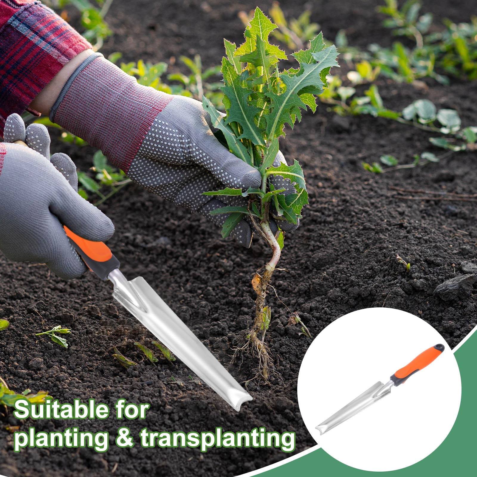 QUARKZMAN 4 Piezas De Paleta De Siembra 13.4 X 0.8 Pala De Jardín para Plantar Semillas De Acero Inoxidable Paleta Larga Y Estrecha para Plantar Desherbar Cavar.