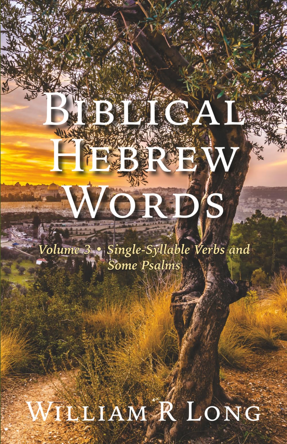 Biblical Hebrew Words, Volume 3: Single-Syllable Verbs and Some Psalms