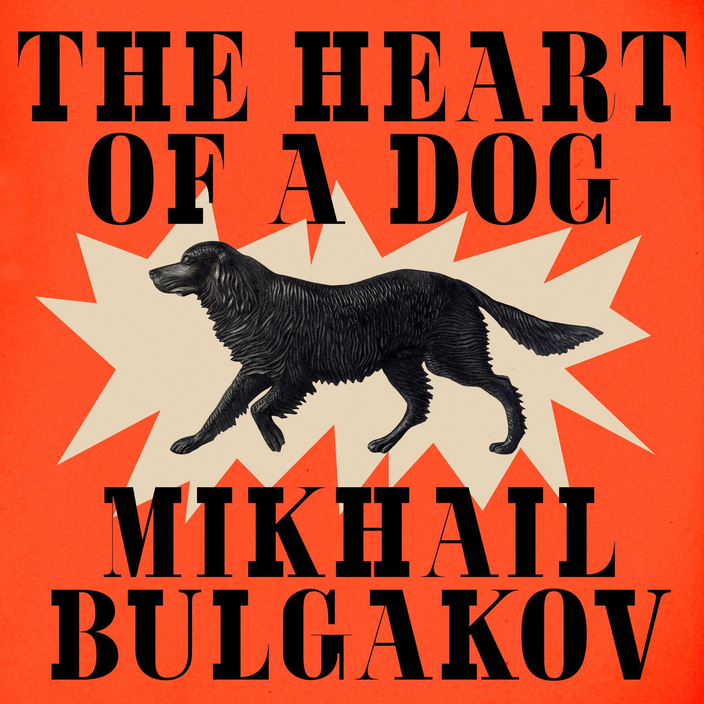 Cover art for The Heart of a Dog
