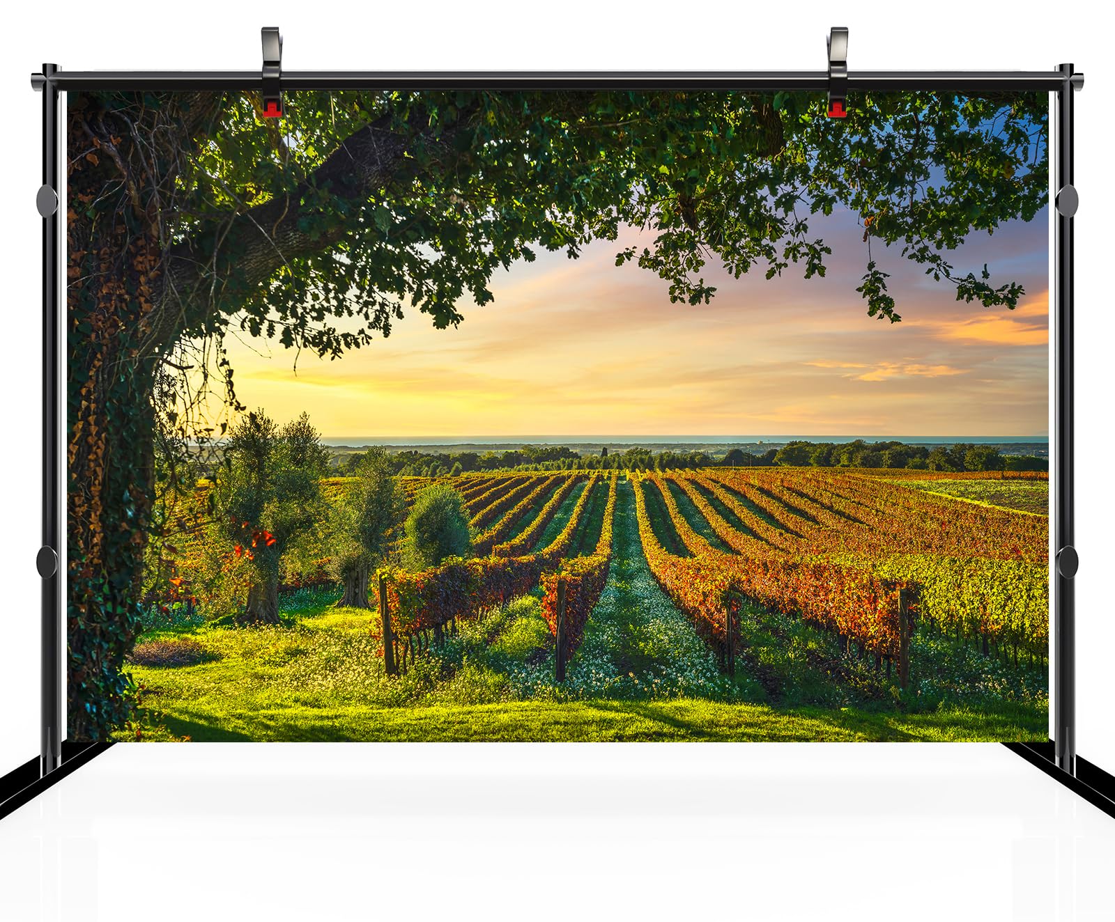 BELECO 9x6ft Fabric Sunset Vineyard Backdrop Wine Glasses And Bottle, Grapes And Wine Barrel, Winery Photography Background Vineyard Theme Party Decorations Birthday Baby Shower Shoot Photo Props - View #3