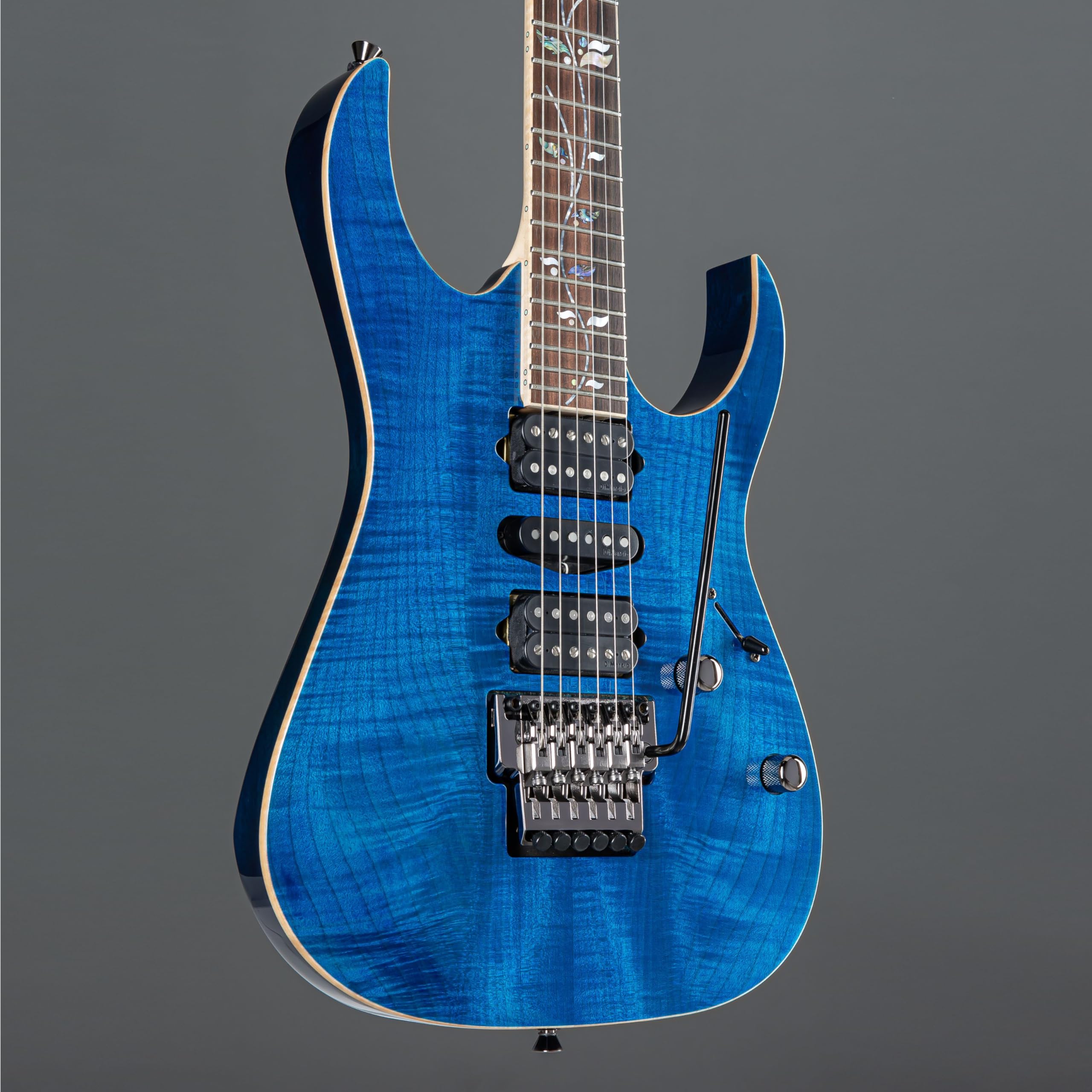 Amazon.com: Ibanez J Custom RG8570 Electric Guitar - Royal Blue