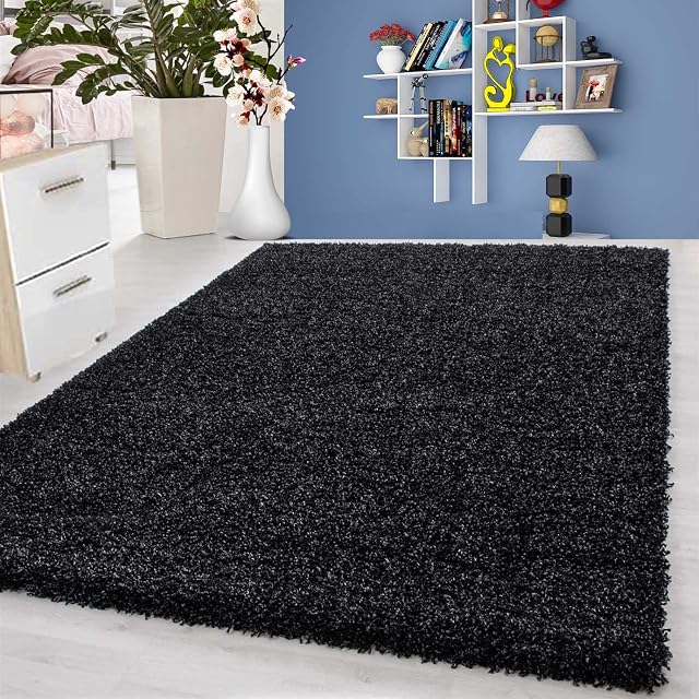 Super Soft Shaggy Rug Anti-Slip Carpet Mat Living Room Large Area Rugs Modern Floor Bedroom Extra Large Size (60 x 110 cm, Anthracite)