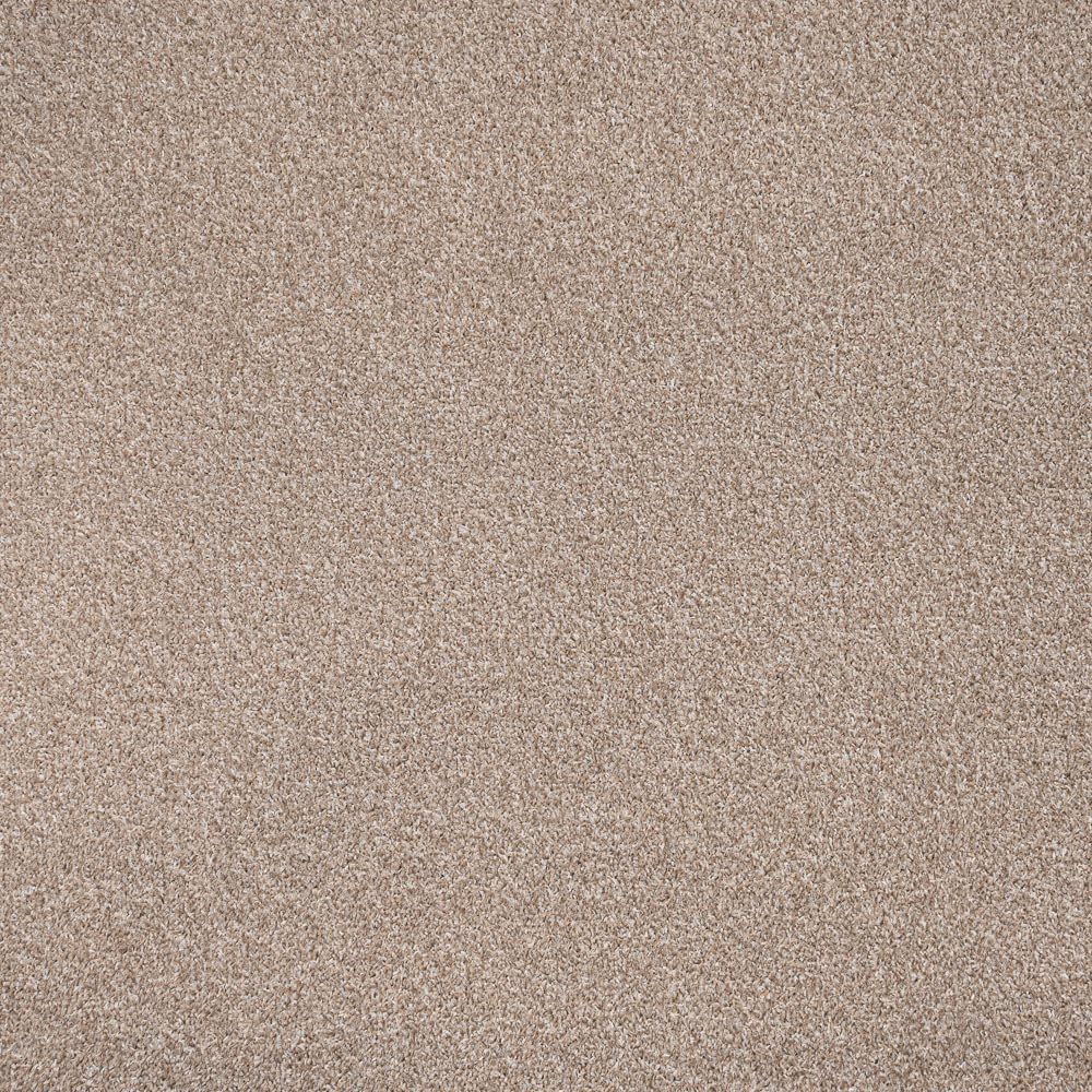 247Floors Flecked Twist Pile Carpet Roll, Hardwearing Felt Backing (5m x 4m, Rye Beige)
