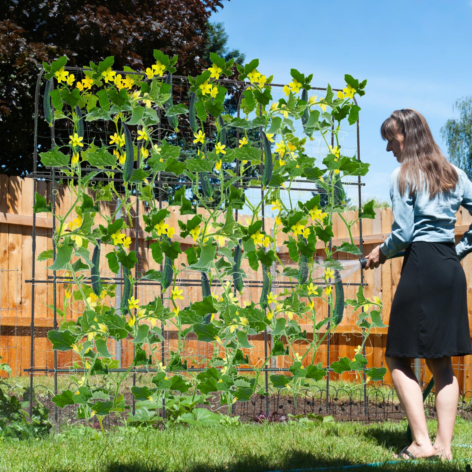 HOMASIS Treillis pour Plantes grimpantes, Support grimpant avec Tube Acier, revêtement Plastique, Maille PP, Facile à Installer, Treillis pour Plantes, Fruits et Fleurs (Arche)