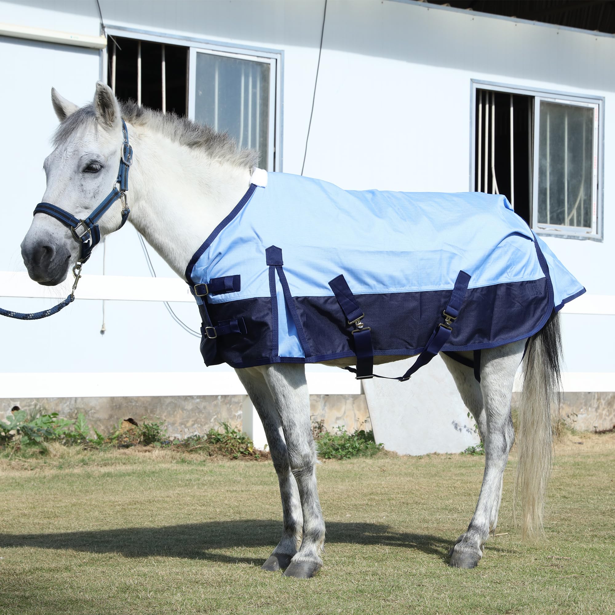 Leberna Mini Horse Pony Turnout Rug (No Fill) (Light Blue, 3'0")