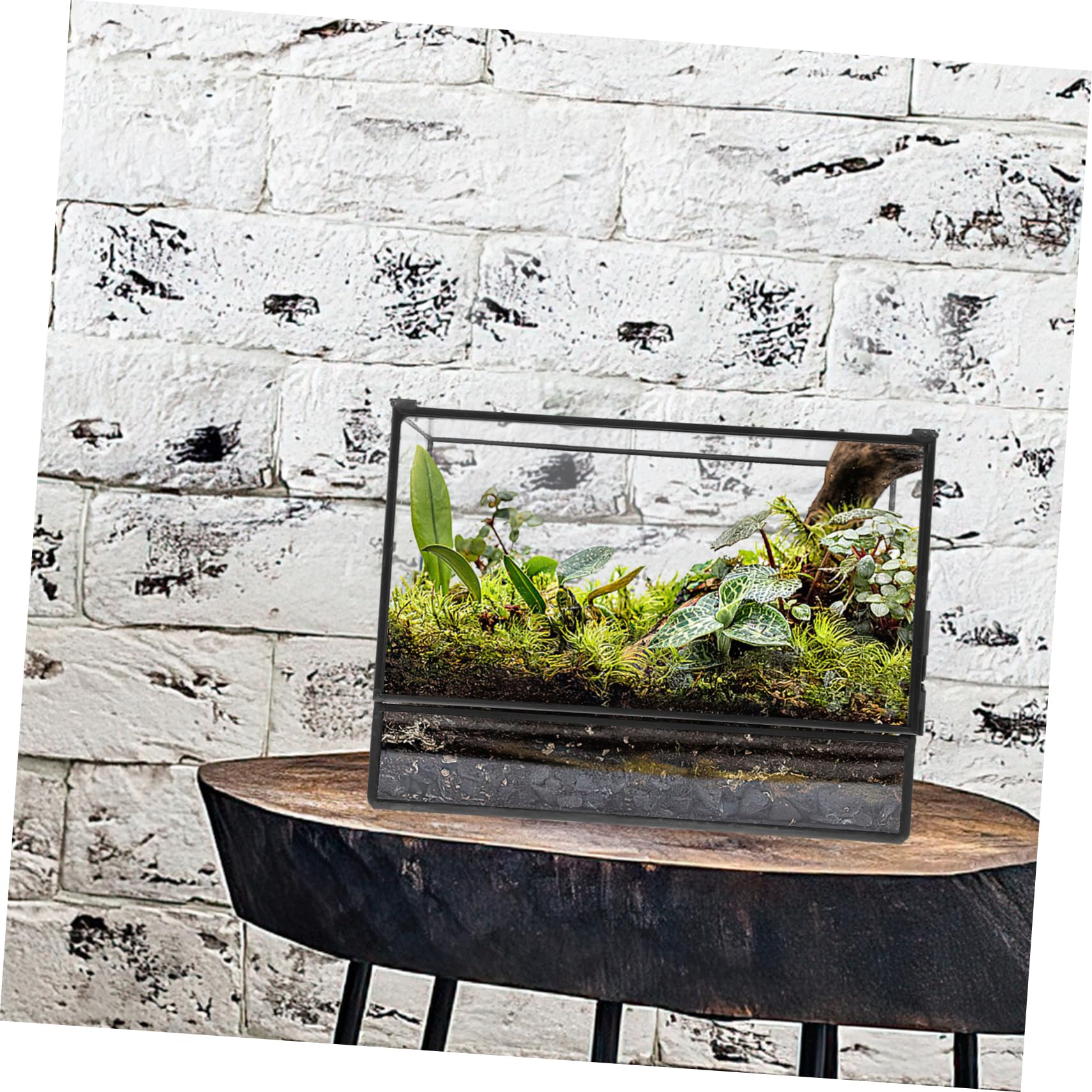 Terrario Pequeño Geométrico de Vidrio para Plantas | Recipiente Decorativo de Estaño, Cuerpo Transparente, Fácil de Limpiar, Adecuado para Musgo y Bricolaje