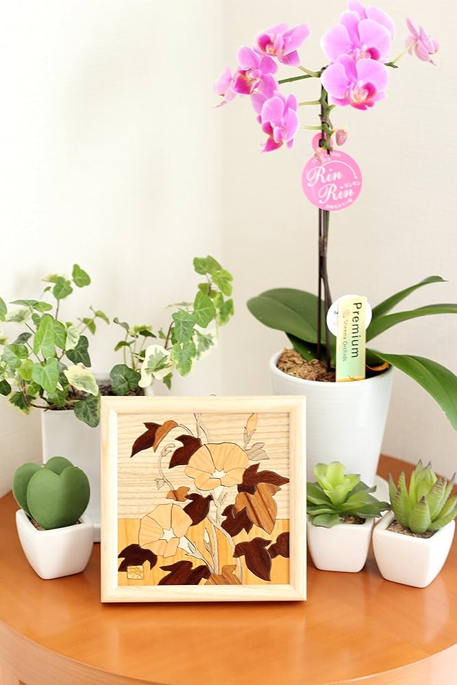 Amazon.co.jp: 木の絵画 ウッドアート 季節のお花 アトリエやしろ Amazon.co.jp: 木の絵画 ウッドアート 季節のお花 アトリエやしろ