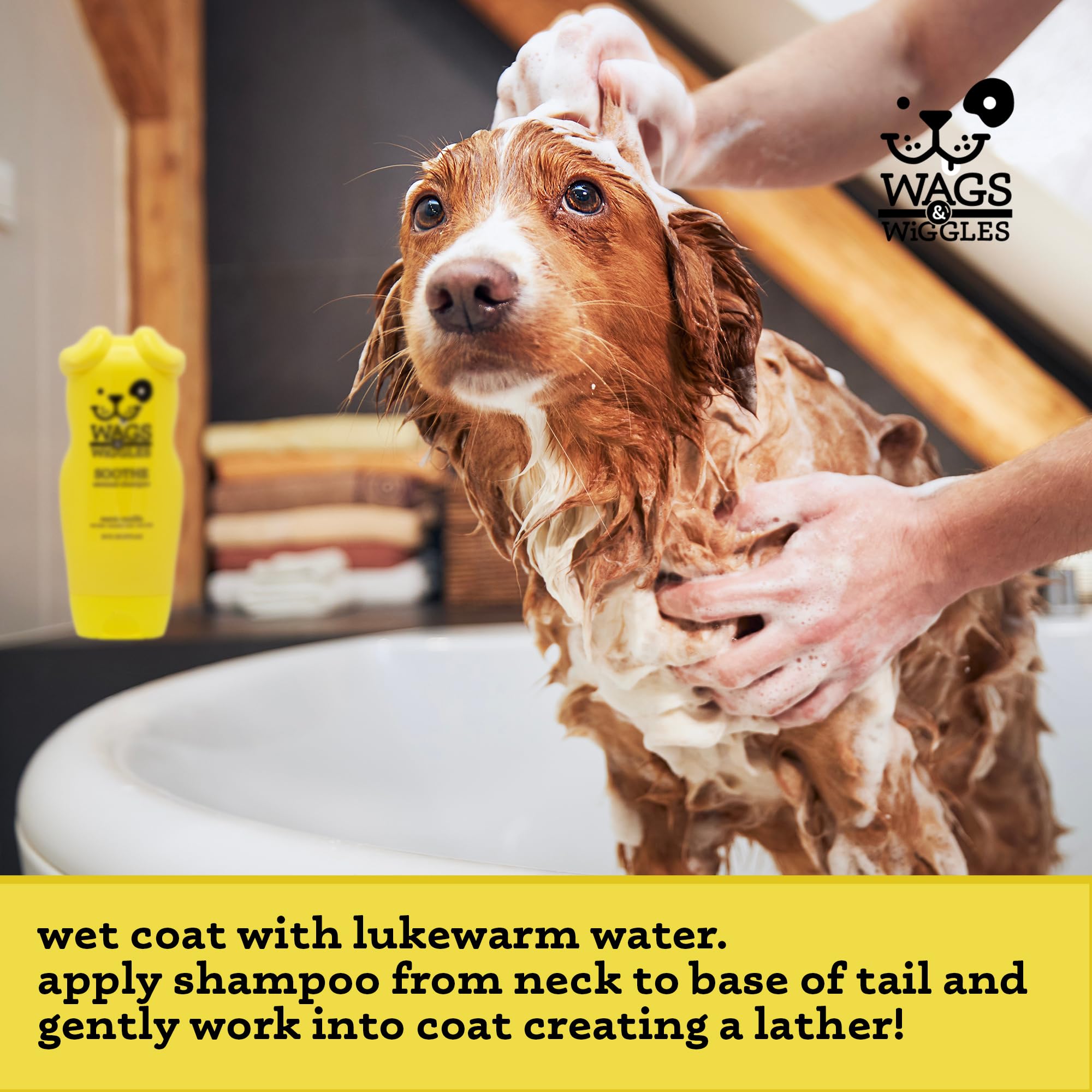 Can You Use Shampoo on a Dog: Essential Tips for Safe Bathing