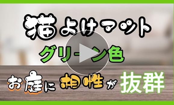 野良猫【値下8/31削除】Aprés パンプス23.0cm黒 黒猫（ブラック系）の子猫を探す｜ブリーダー直販の子猫販売