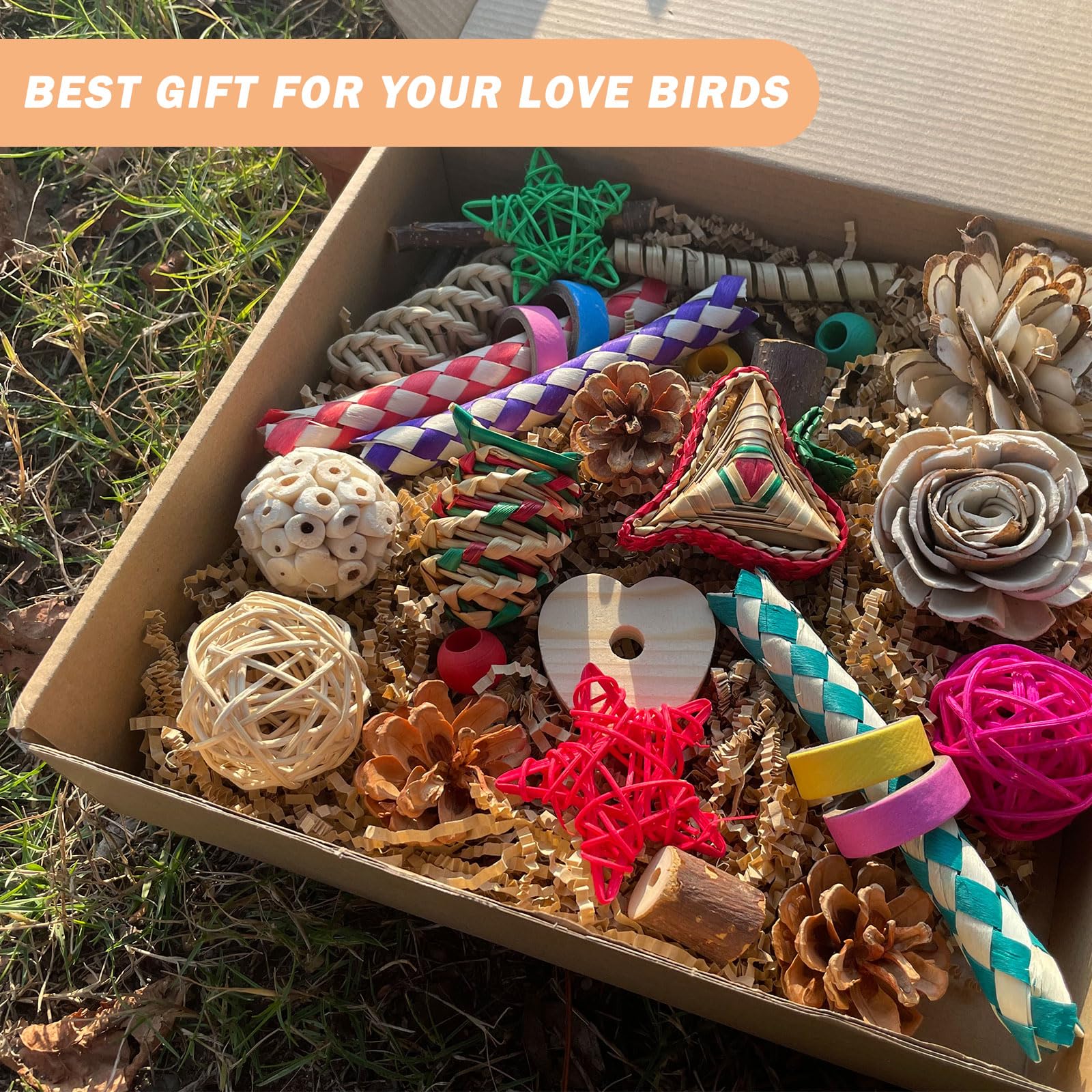 Bird Foraging & Bird Shredding Toys Box,Natural Chewing and Foraging Toys for Cockatiels,Parakeets,Conures,Love Birds & Small to Medium Parrots - image 5