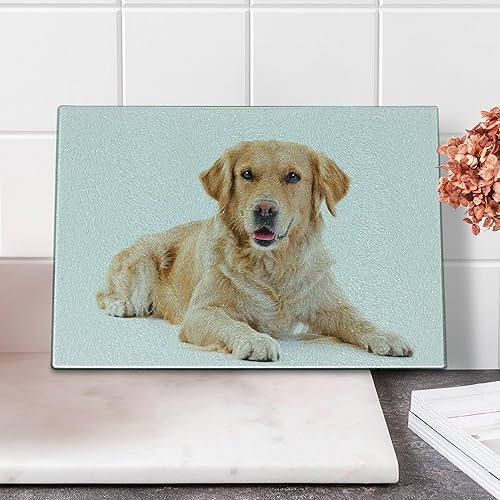 Ambesonne Golden Retriever Cutting Board, Young Pedigree Puppy Laying over White Background Dog, Decorative Tempered Glass Cutting and Serving
