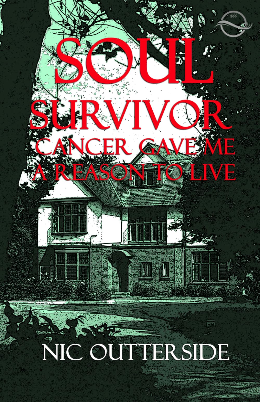 Soul Survivor: a cancer adventure