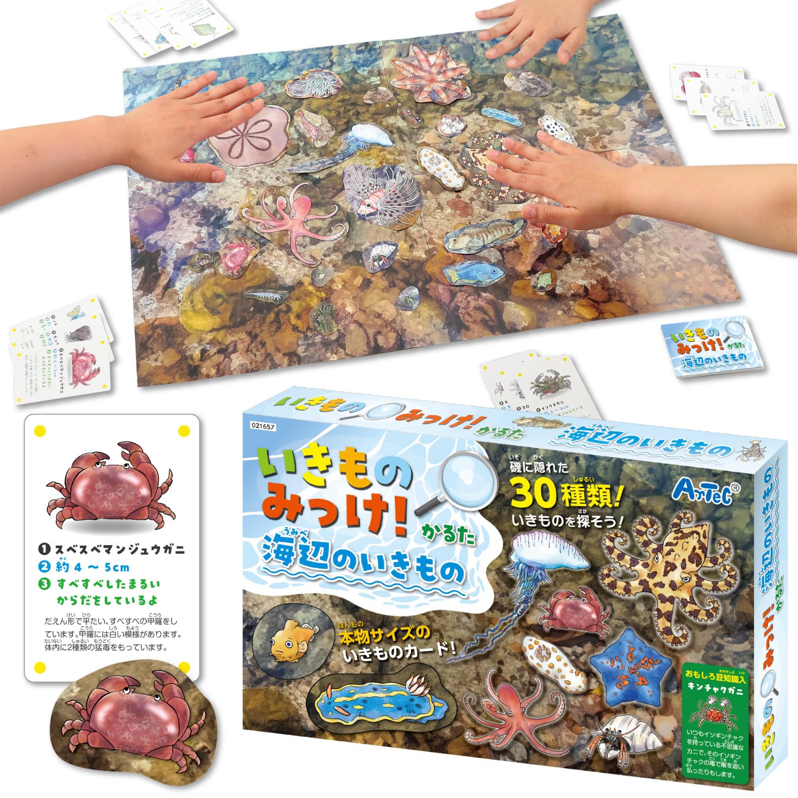 Amazon.co.jp: アーテック おもちゃ カードゲーム いきものみっけ Amazon.co.jp: アーテック おもちゃ カードゲーム いきものみっけ