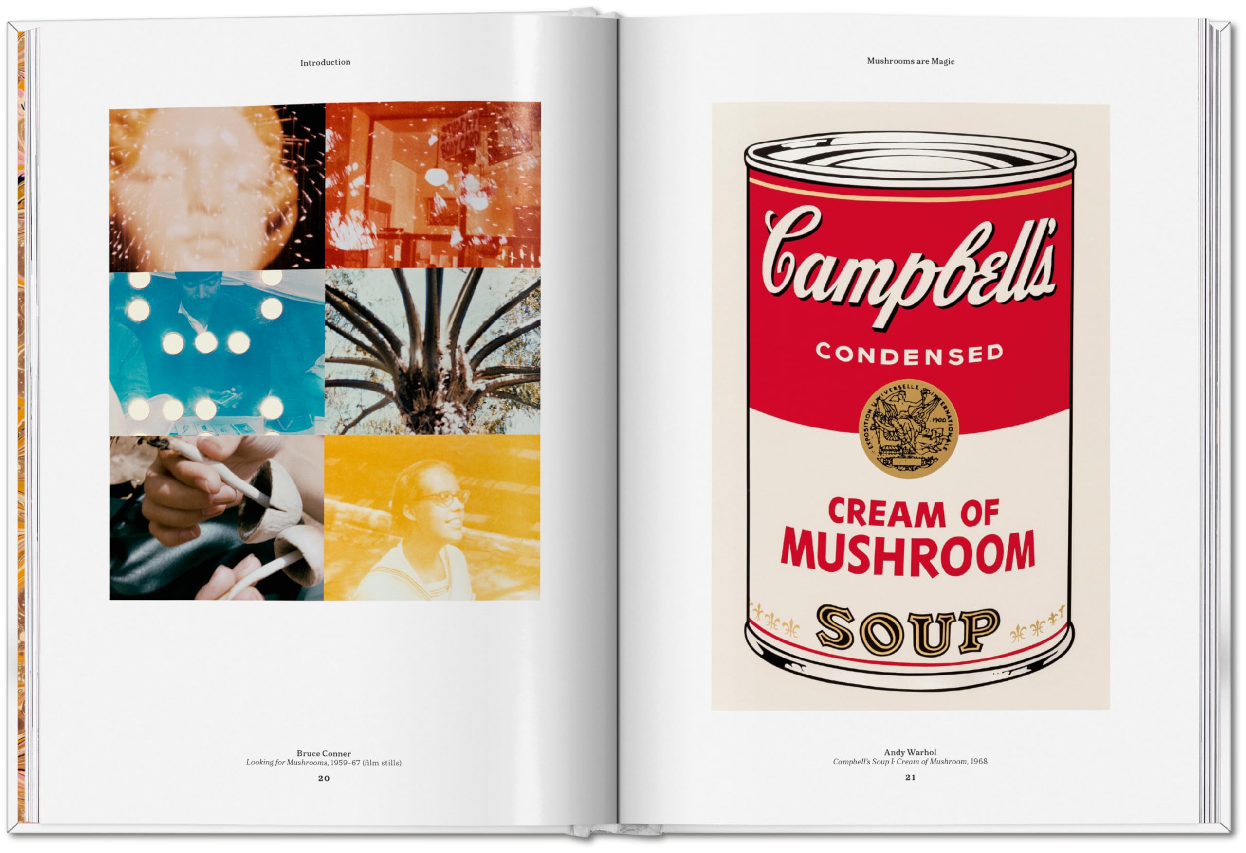 The Gourmand's Mushroom: A Collection of Stories and Recipes
