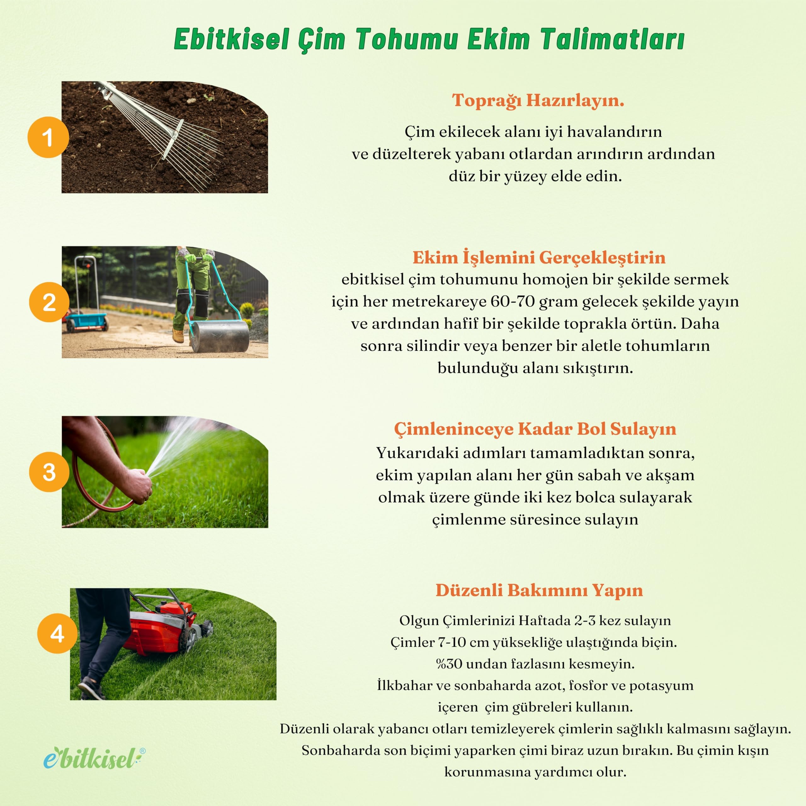 Ebitkisel Çok Yıllık Çim Tohumu 5 Kg Uzun Ömürlü 6'lı Karışım Gölge ve Aşırı Güneşli Alan Uygun Yetiştirilmesi Kolay 4 Mevsim Yeşil