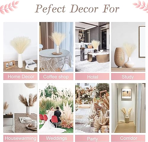 Miniatura 7 de Arreglo de decoración para el hogar de hierba de las pampas, relleno de jarrón corto de hierba de las pampas, juego de 7 tallos de hierba boho,