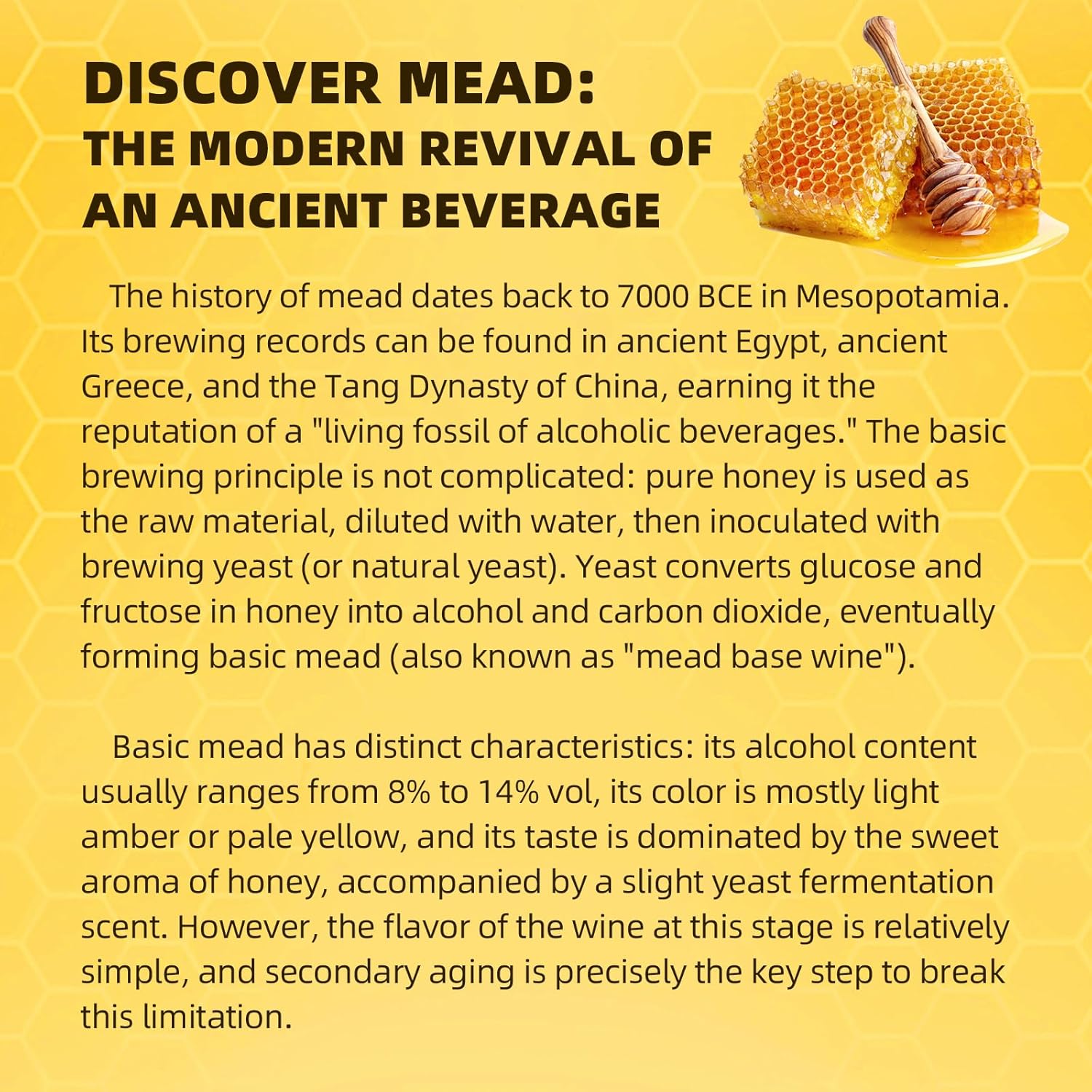 Mead Making Kit for Beginners 1 Gallon Home Brewing Kit with Glass Fermentation Jar Siphon Airlock Stopper Temperature Labe Funnel Hydrometer Reusable DIY Honey Wine Starter Set